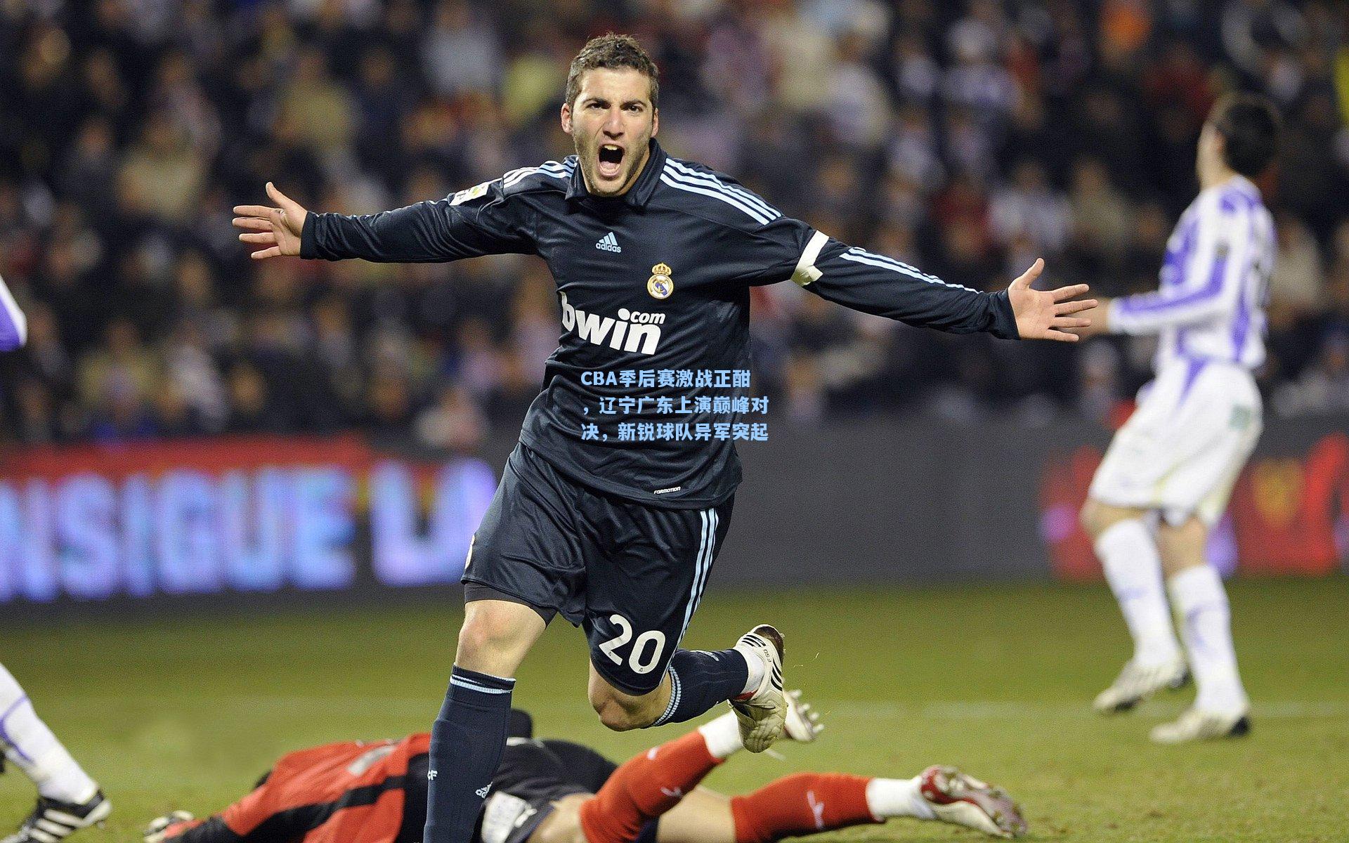 CBA季后赛激战正酣，辽宁广东上演巅峰对决，新锐球队异军突起