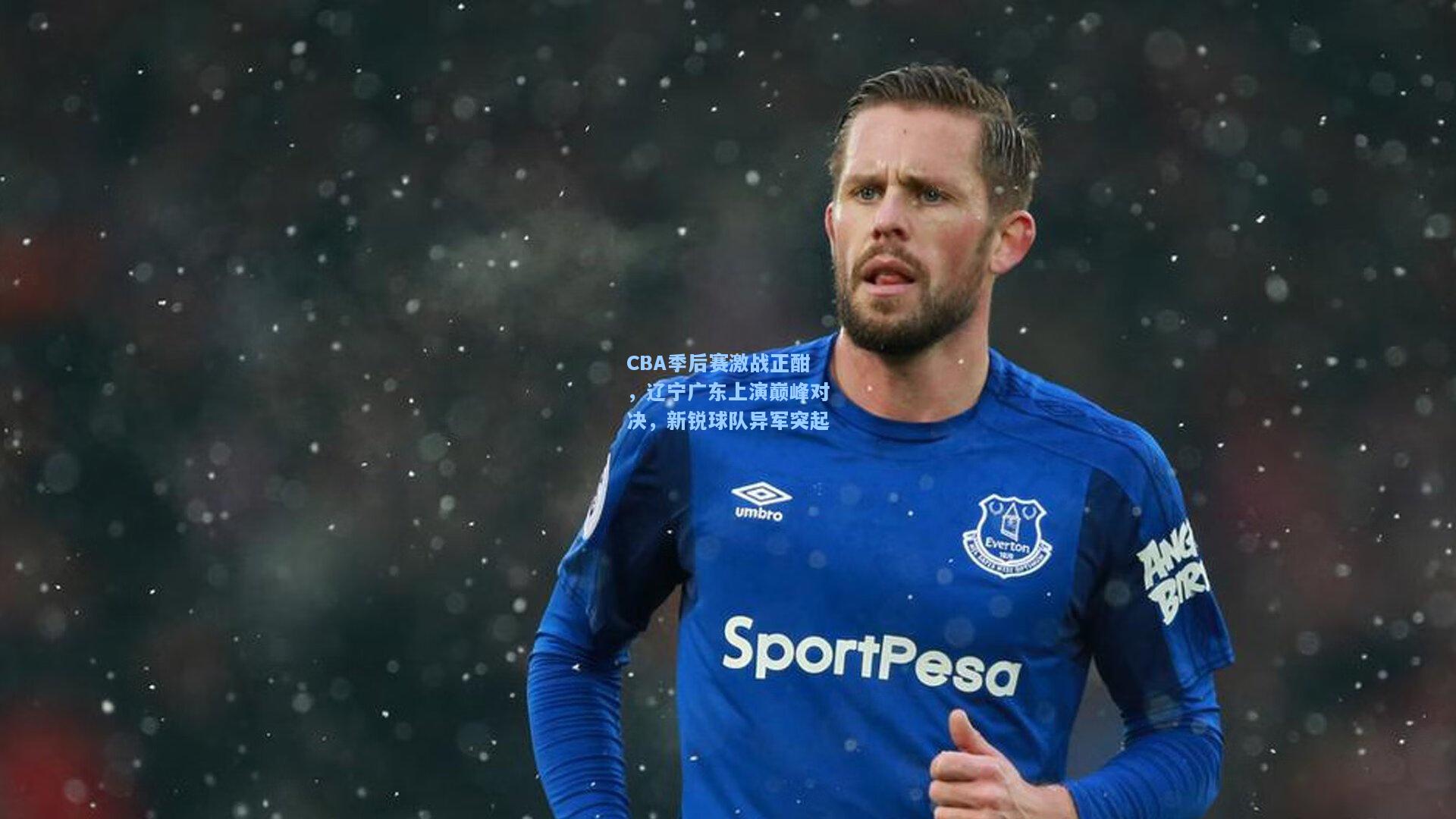 CBA季后赛激战正酣,辽宁广东上演巅峰对决,新锐球队异军突起