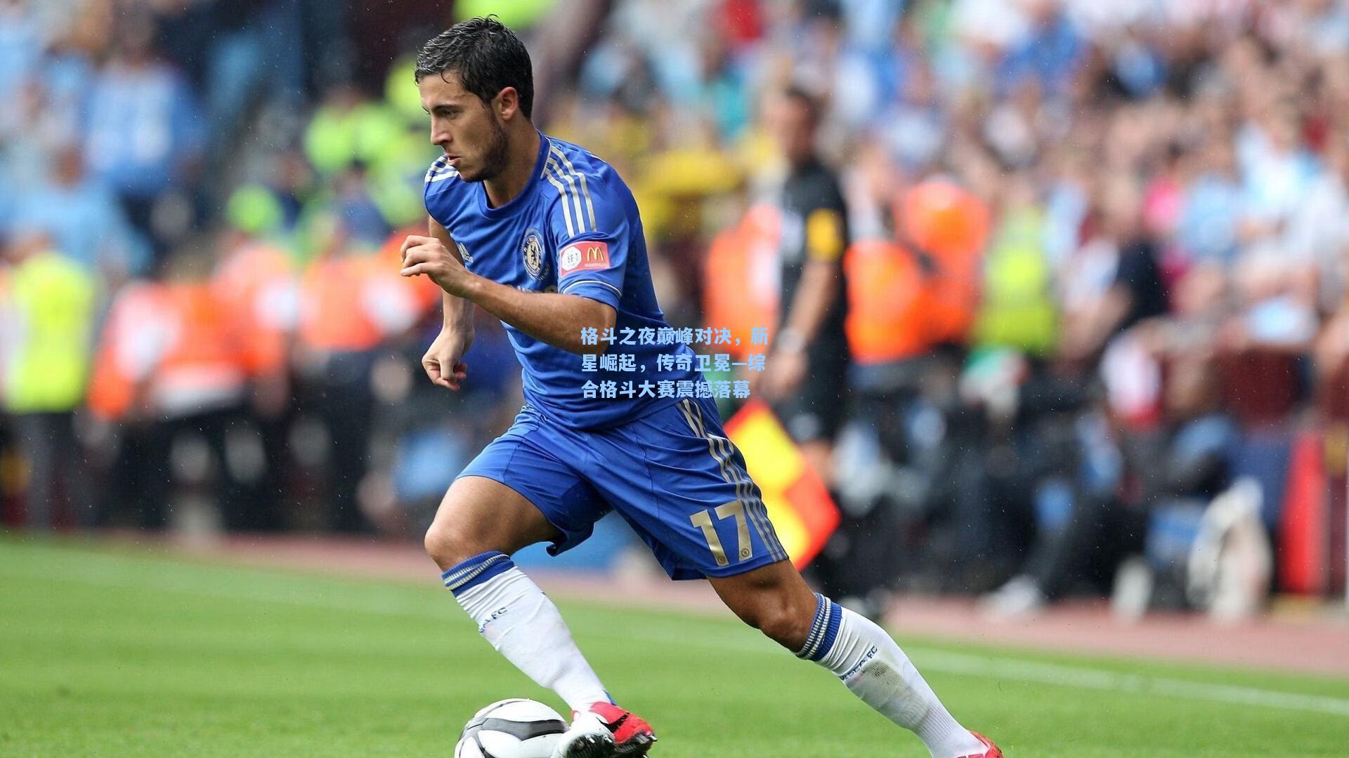 格斗之夜巅峰对决,新星崛起,传奇卫冕—综合格斗大赛震撼落幕